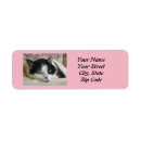 Search for tuxedo cat return address labels Cats