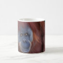 Search for baboons mugs Primate