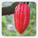 Search for cacao stickers Food