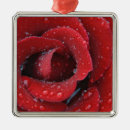 Search for grave christmas tree decorations Tomb