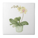 Search for stem tiles Green