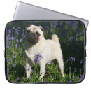 Search for mops cases Fawn
