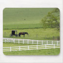 Search for amish electronics Ohio