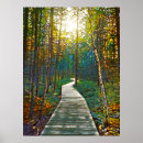 Search for forest walk art Landscape