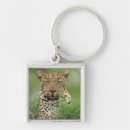 Search for panthera key rings Nature