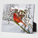 Search for cardinal plaques Snow