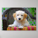 Search for doodle art Puppy