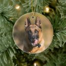 Search for running christmas tree decorations Animal