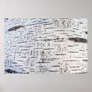 Search for birch bark posters Natural