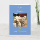 Search for emu birthday cards Llama
