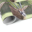 Search for antelope wrapping paper Gazelle