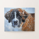 Search for st bernard puzzles Dog