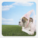 Search for puppy head stickers Animal body part