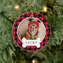 Search for dog bone christmas tree decorations Pet photo