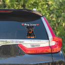 Search for rottweiler gear bumper stickers Cute