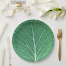 Search for cabbage plates Vegetable