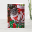 Search for two kittens christmas cards Animal