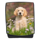 Search for golden retriever accessories Puppy