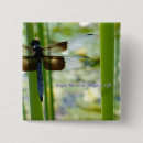 Search for dragonflies badges Nature photography