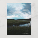 Search for marsh postcards Landscape
