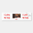 Search for i love pugs bumper stickers Dog