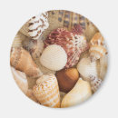 Search for shell pictures magnets Nautical