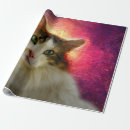 Search for calico cat wrapping paper Funny