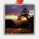 Search for tucson christmas tree decorations Sunset