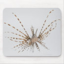 Search for ocean front mousepads Swimming