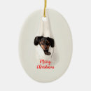 Search for dachshund christmas home decor Daschund