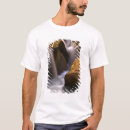 Search for wilderness tshirts Scenic
