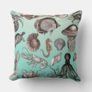 Search for marine life cushions Octopus
