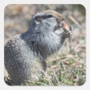 Search for grounding stickers Nature