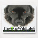 Search for wild one mousepads Dog