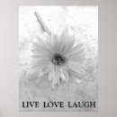 Search for black and white daisy posters Nature