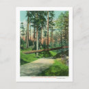 Search for fallen tree postcards Woodland