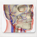 Search for human head electronics Face