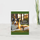 Search for fur baby cards Animal
