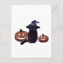 Search for crazy lady postcards Owner