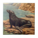 Search for mammal tiles California
