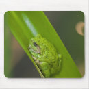 Search for environment mousepads Amphibian