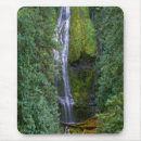 Search for cascade electronics Pacific northwest