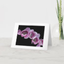 Search for wave cards Purple