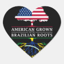 Search for brazilian american stickers Brasil