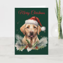 Search for labrador christmas cards Winter