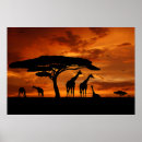 Search for safari sunset posters Africa