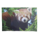 Search for photograph pillowcases Wildlife