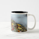 Search for white mountain national forest mugs Autumn