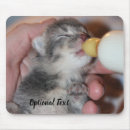 Search for feed electronics Animal