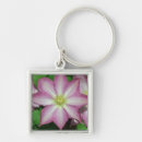 Search for spring pink key rings Nature
